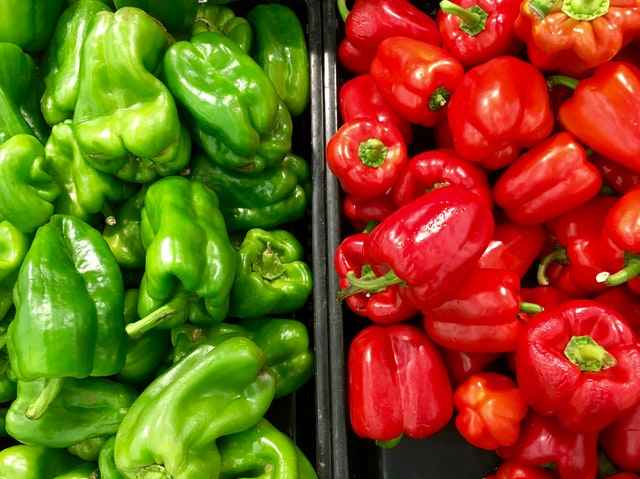 Bearded Dragons can eat All Bell peppers, However they Prefer the Red ones!