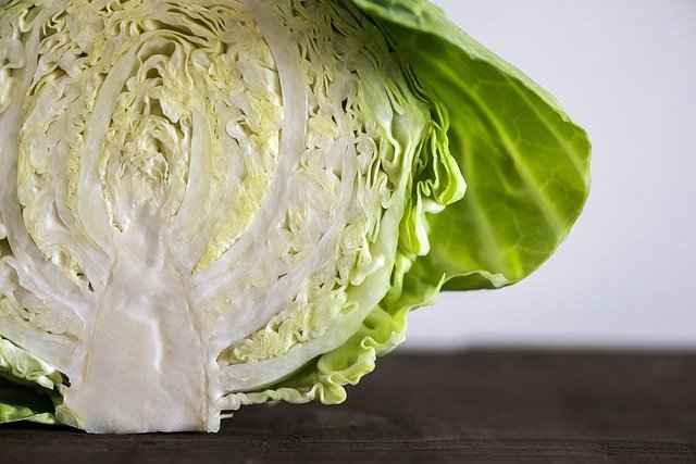 Different types of Cabbages which bearded dragons can eat