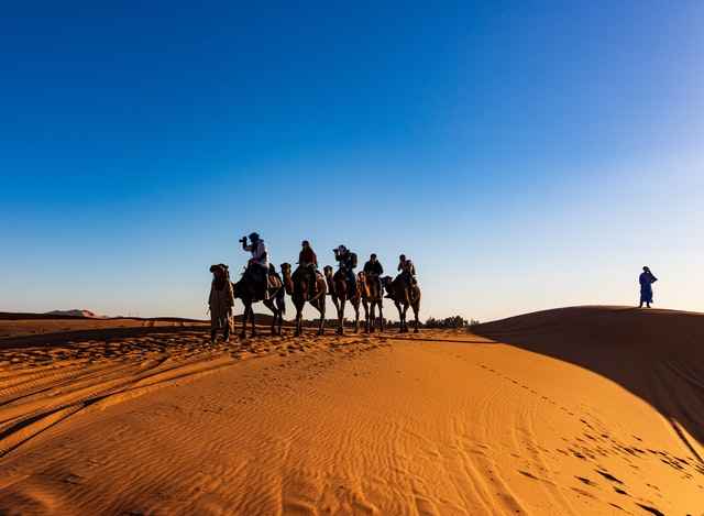 Weight limits for riding Camels - Depending on the Different Camel Breeds